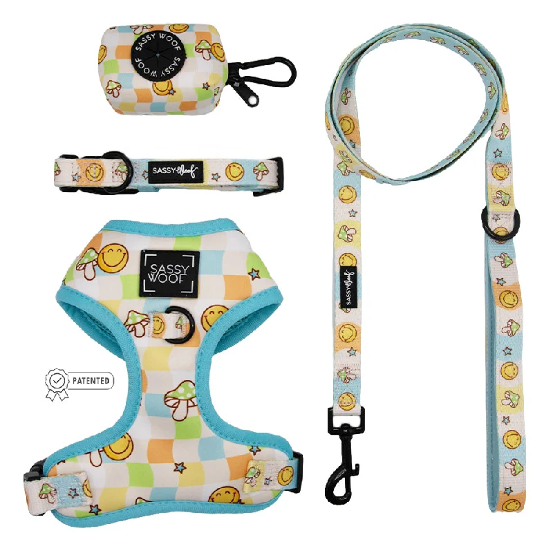  . **Cat clothes cute model**Dog Four Piece Bundle - Mush Love